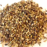 کنجد باپوست